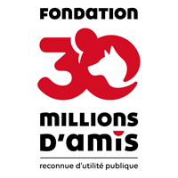 logo carré le chien mon ami