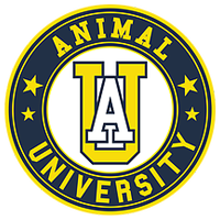 logo carré le chien mon ami