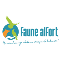 logo carré le chien mon ami