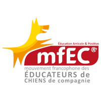 logo carré le chien mon ami