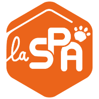 logo carré le chien mon ami