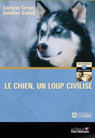 logo carré le chien mon ami