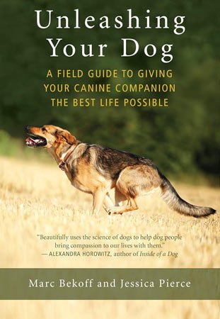 logo carré le chien mon ami