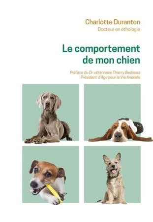 logo carré le chien mon ami