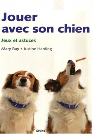 logo carré le chien mon ami