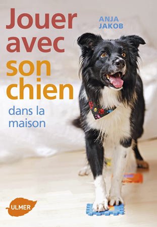 logo carré le chien mon ami