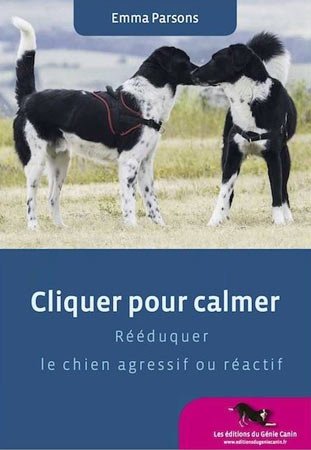 logo carré le chien mon ami