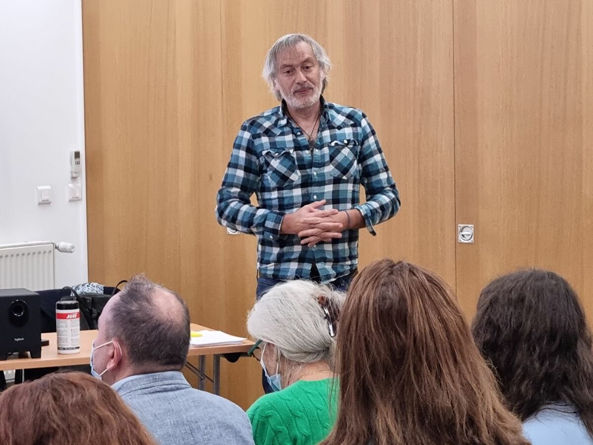 Chien regardant vers l'horizon en pleine nature