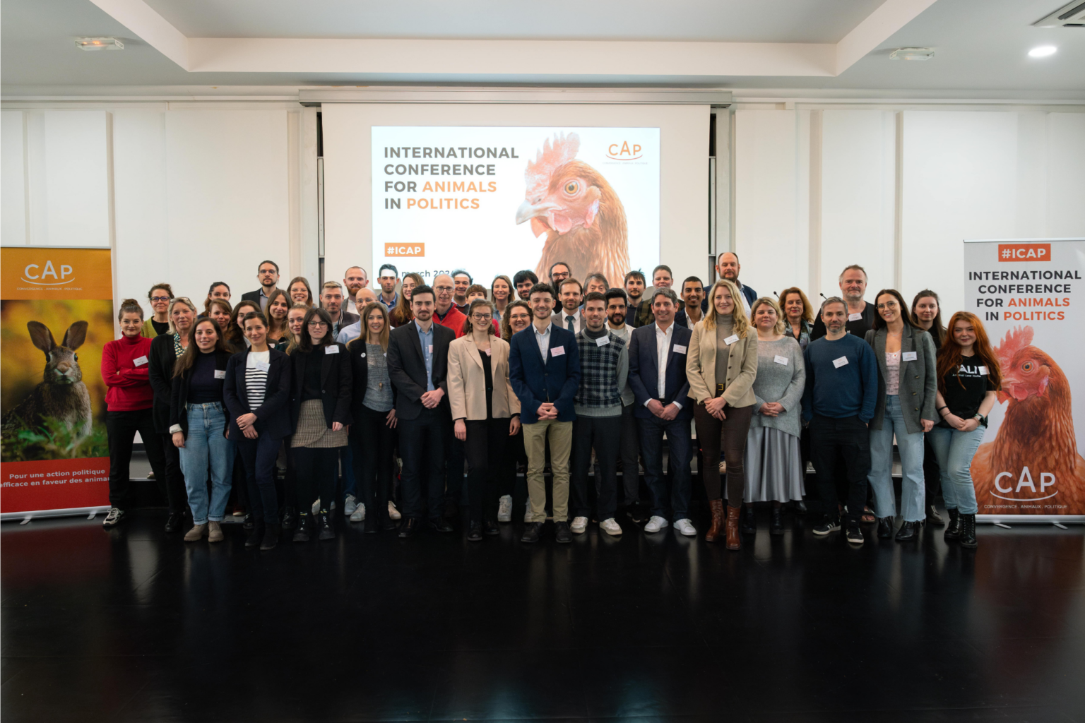 Chien regardant vers l'horizon en pleine nature