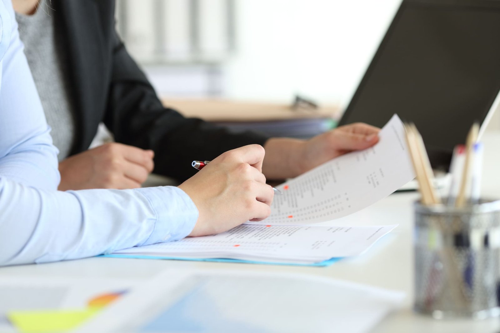 Chien regardant vers l'horizon en pleine nature