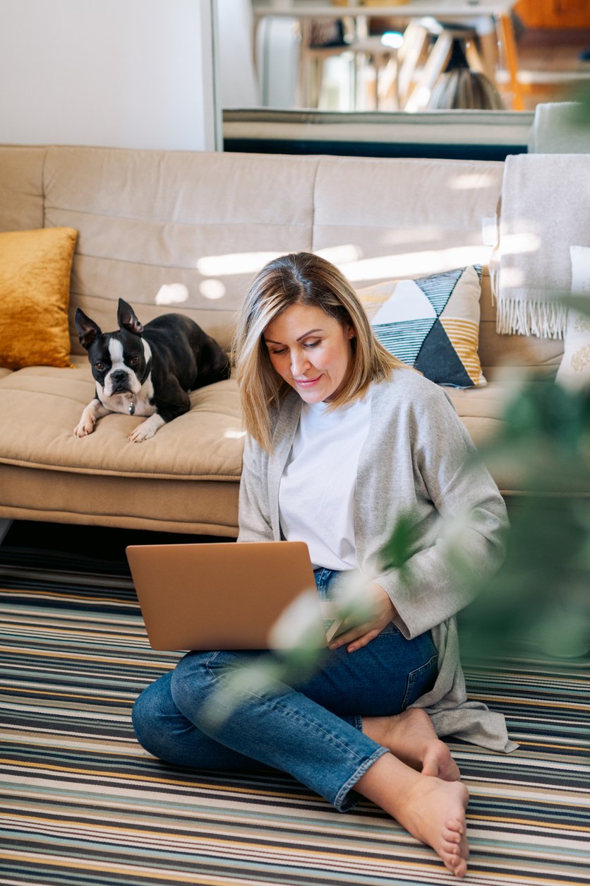 Chien regardant vers l'horizon en pleine nature