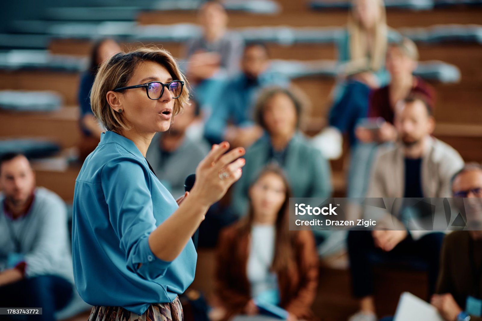 Chien regardant vers l'horizon en pleine nature