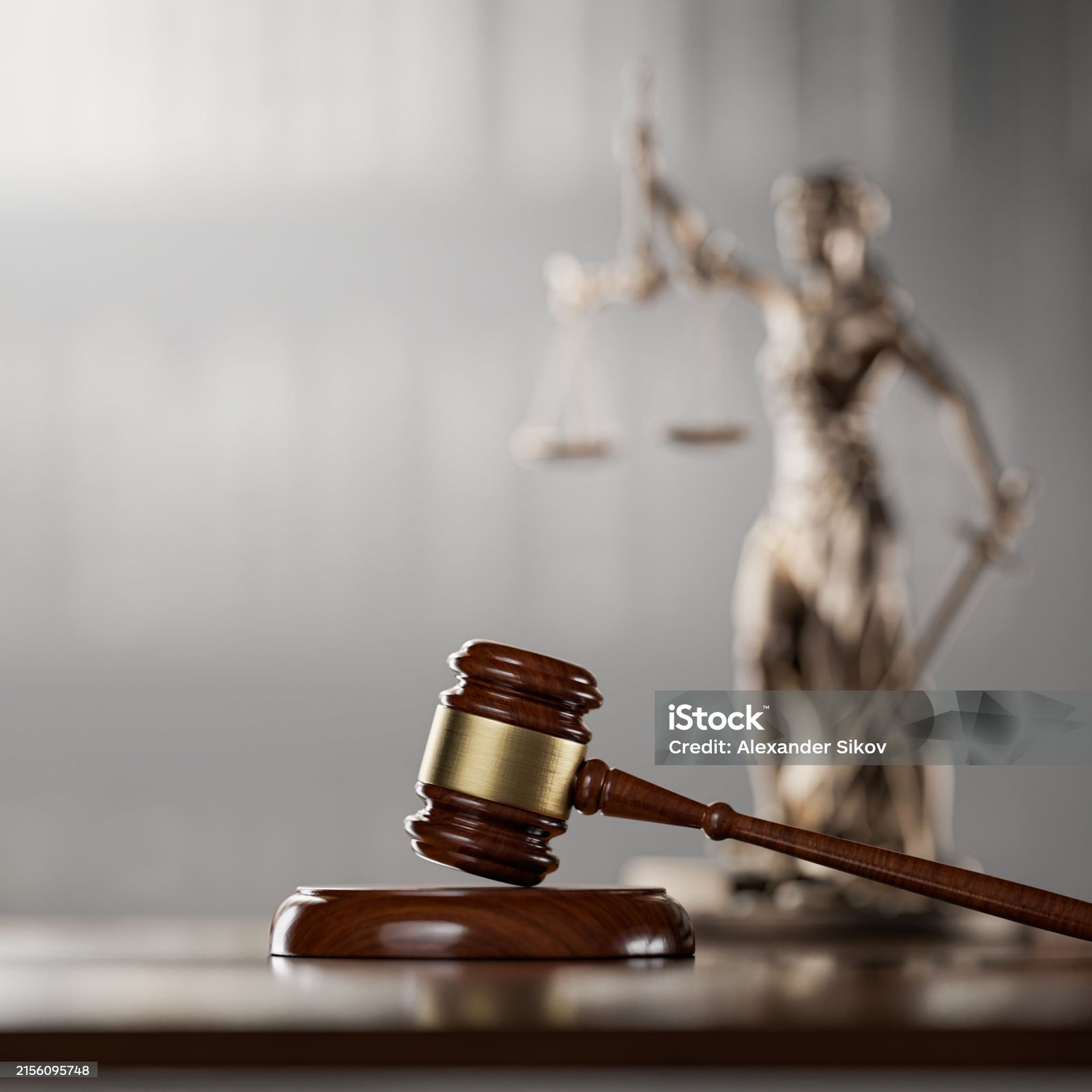 Chien regardant vers l'horizon en pleine nature