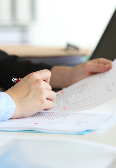 Chien regardant vers l'horizon en pleine nature