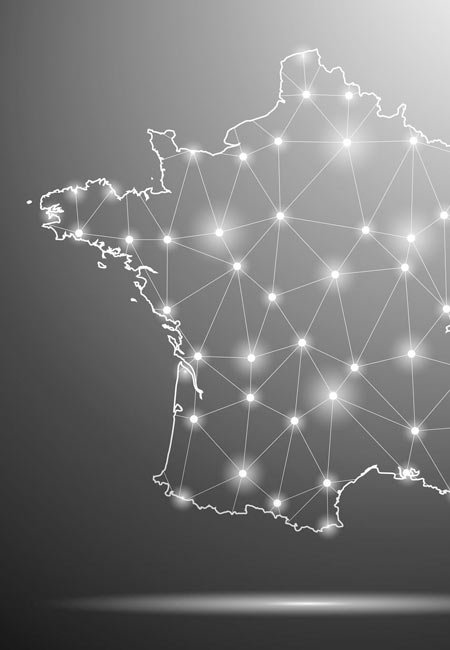 Chien regardant vers l'horizon en pleine nature