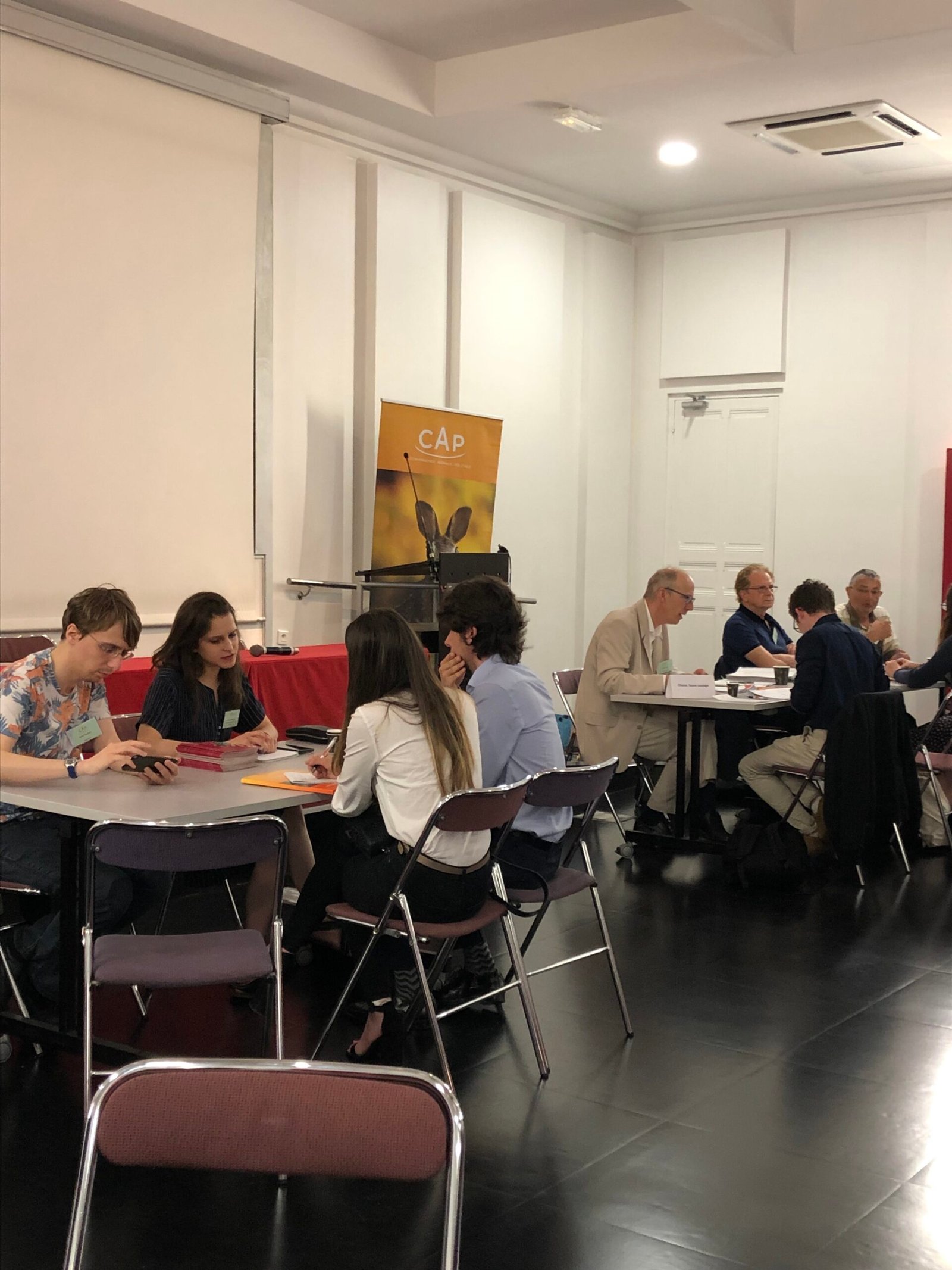 Chien regardant vers l'horizon en pleine nature